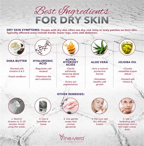 Best Ingredients For Dry Skin Vine Vera Blog