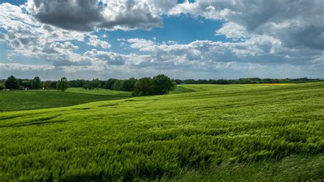 Green Grass Field Slope Hills Trees Under White Clouds Blue Sky 4k Hd