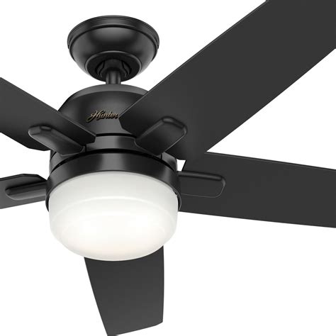 hunter replacement ceiling fan light kit shelly lighting hot sex picture