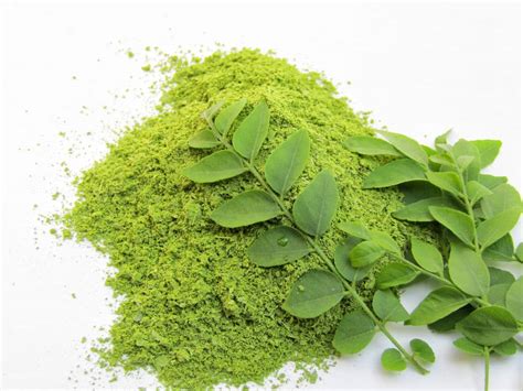 The 3 Best Indian Herbs For Relieving Hair Loss And Growing Hair
