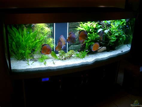 The aquarium showcases the plants, animals, and other natural resources found in the estuary and its surrounding marine habitats. Aquarium Becken 3074 - Alex Diskus Aquarium aus Becken ...