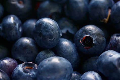 Wallpaper Food Fruit Berries Blueberries Berry Blueberry