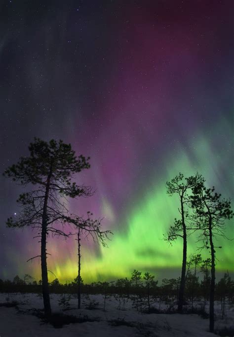 Multicolored Aurora Borealis In The Northern Urals