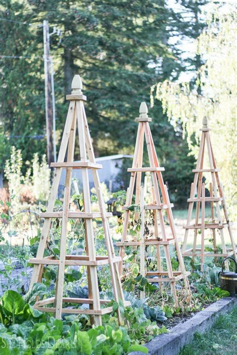 30 Diy Trellis Ideas For Your Garden 2017