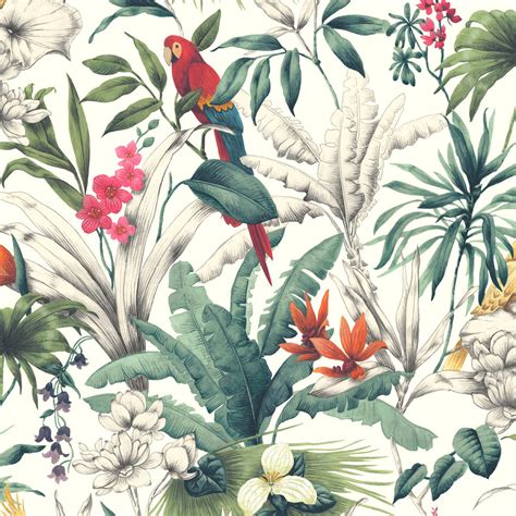 Bird Of Paradise Parrot Accessorize Wallpaper In Red Pink And Green
