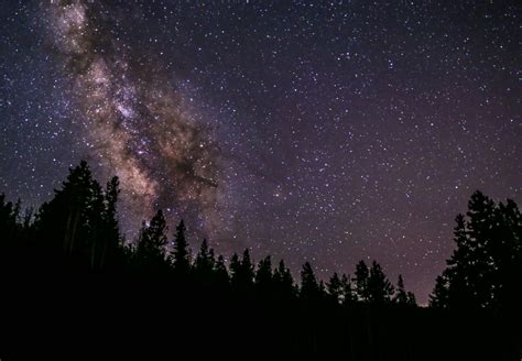 Images Gratuites Paysage Arbre La Nature Ciel Nuit étoile Voie