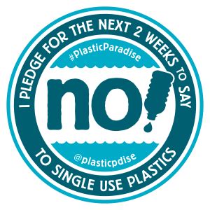 Dear friends, let's get rid of the habit of using plastic straws and find the alternatives from nature like grass straws. Advocacy Against Plastic Straw - SAY NO TO PLASTIC STRAWS