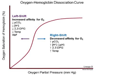 Hemoglobin Dissociation Curve Diagram Quizlet