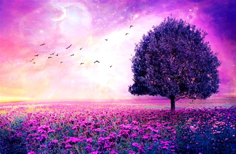 Beautiful Cute Wallpapers And Pictures Of Nature Purple Trees