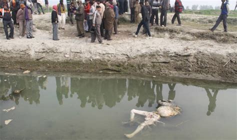 100 Covid Dead Bodies Float On River Ganga