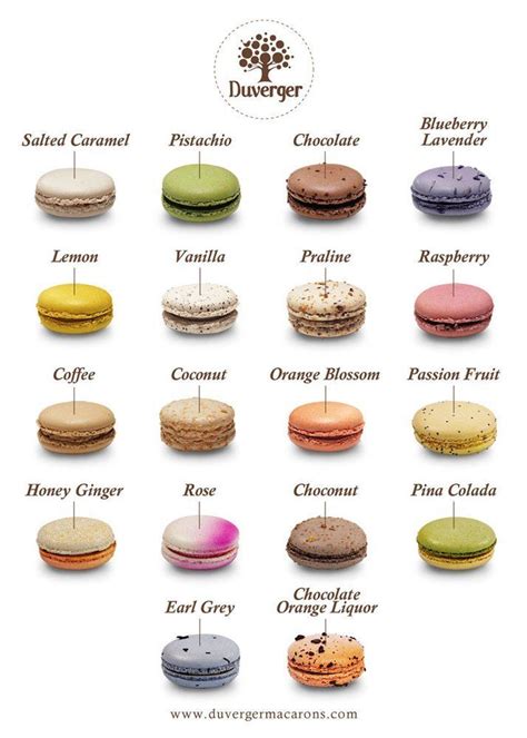 Les Macarons 18 Different Flavors Macaron Flavors French Macarons