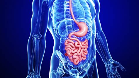Best Gastroenterology Doctors Specialist And Hospitals In Bangalore India For Gastro Treatment