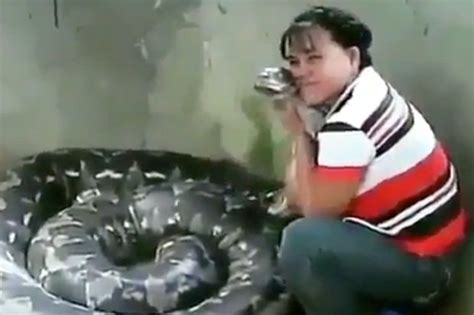 Woman Gets Intimate With Absolutely Huge Snake In Horror Video Daily Star