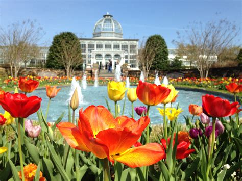 Lewis Ginter Botanical Garden 4th Best In Usa