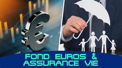 Quels Fonds En Euros Choisir Pour Une Assurance Vie