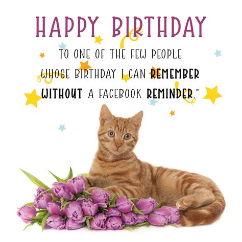 Free Funny Happy Birthday Image With Flowers And Cat