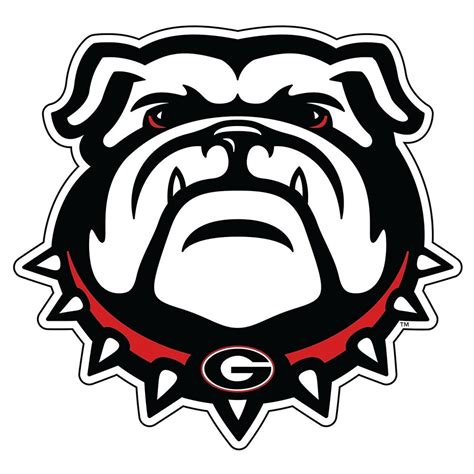 Საქართველო, sakartvelo) is a country in eastern europe. UGA Large New GEORGIA Bulldog Decal | eBay