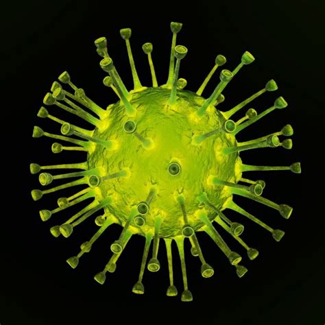 Lo Que Debes Conocer Para Prevenir El Herpes Zóster