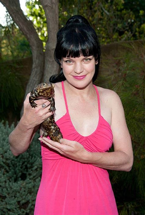 Pauley Perrette Nuda Anni In Ncis Free Download Nude Photo Gallery