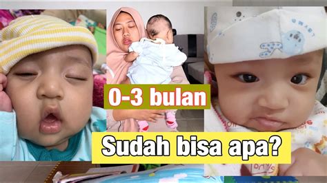 Apakah masa hamil kucing sama dengan masa hamil manusia? Ciri Bayi Sehat Usia 4 Bulan - Ini Cirinya