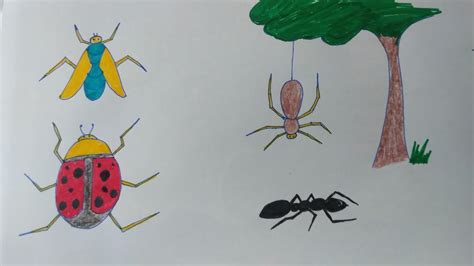How To Draw Insects Basic Drawings For Kids Step By Step Youtube