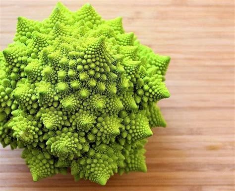 Anyone has any random thoughts hi leila, how much space are you giving it? Romanesco broccoli | Best indoor plants, Romanesco ...