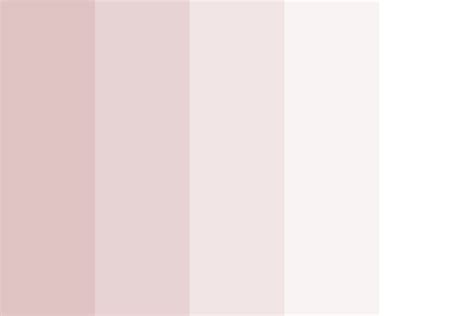 Soft Aesthetic Color Palette Red