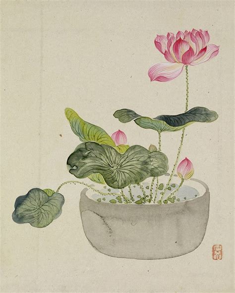 Japanese Potted Lotus Flower Art Print Japaneseart Flowerart
