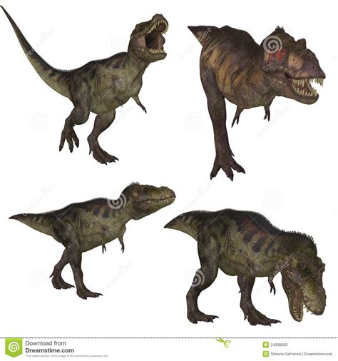 Tyrannosaurus Rex Illustrazione Di Stock Illustrazione Di Dinosauro
