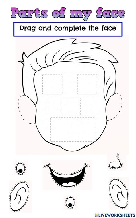 Parts Of The Face Online Worksheet For Kindergarden Body Parts