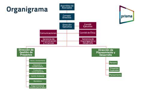 Organizaci N Prisma Ong