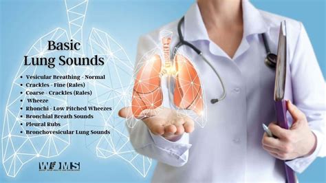Basic Lung Sounds Woms