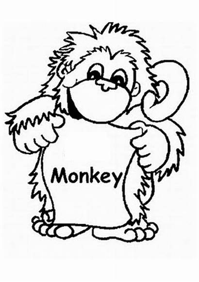 Monkey Coloring Pages Template Funny Sally Silly