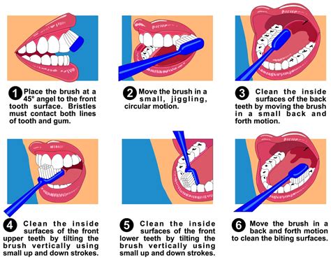 Proper Way To Brush Teeth And Gums Teethwalls