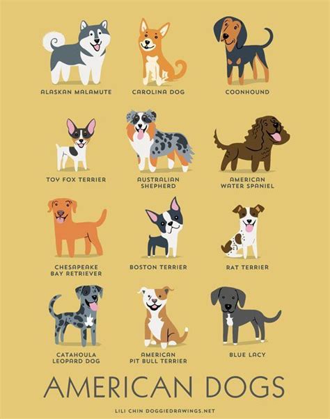The Dogs Of The World Infographic By Lili Chin Features Dog Diversity