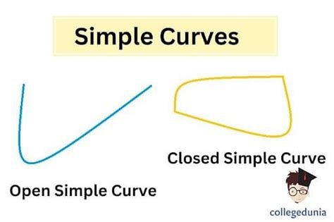 Curve Meaning Types And Examples