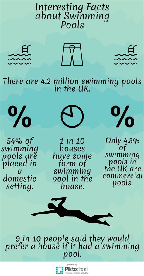 Interesting Facts About Swimming Pools Visually