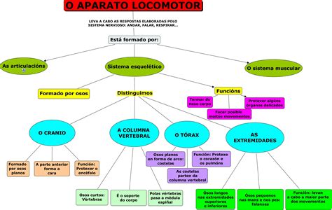 Mapa Mental Sistema Locomotor EDUBRAINAZ