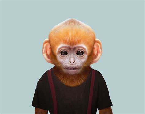Super Cute Animals Dressed As Humans Portraits By Yago Partal