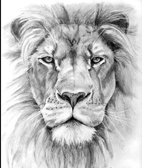 Lion Head Tattoos Lion Tattoo Design Lion Sketch