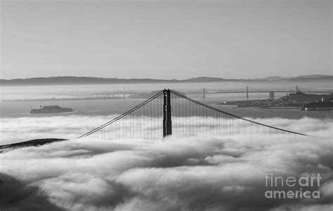 Golden Fog Photograph By David Bearden Pixels