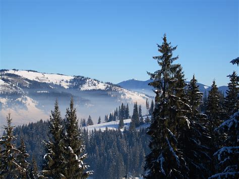 Fotografii Vatra Dornei Fotografii Vatra Dornei Iarna Foto