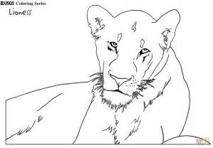 Lioness Coloring Page Free Printable Coloring Pages