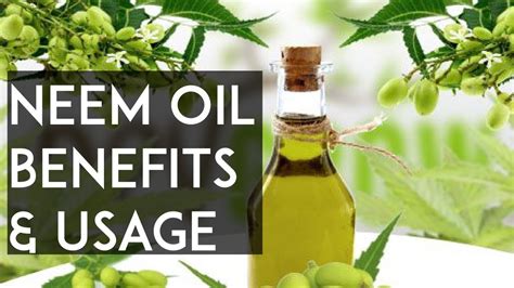Massage a few drops into your skin, or mix it with. Neem Oil Benefits & Usage | Neem Oil Homemade Remedies ...