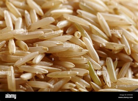 Raw Uncooked Brown Basmati Rice Stock Photo Alamy
