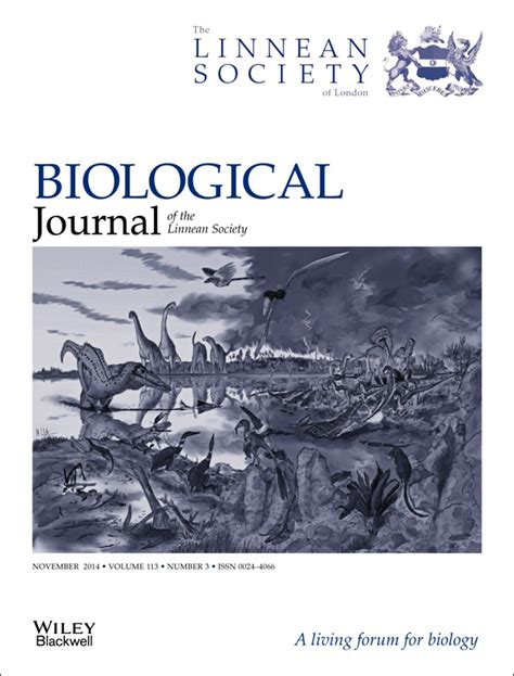 A New Long‐tailed Basal Bird From The Lower Cretaceous Of North‐eastern