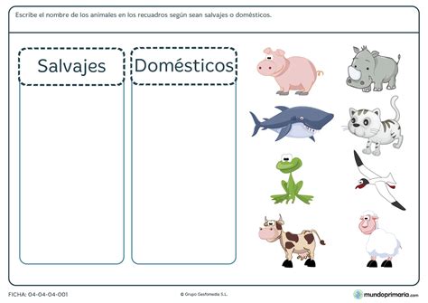 ¿qué clase de animal es más longevo? Ficha de animales para primaria