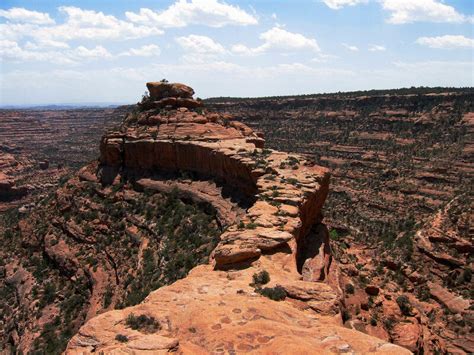 Amish grocery and cake farm. Trip Report The Citadel - Anasazi Ruins