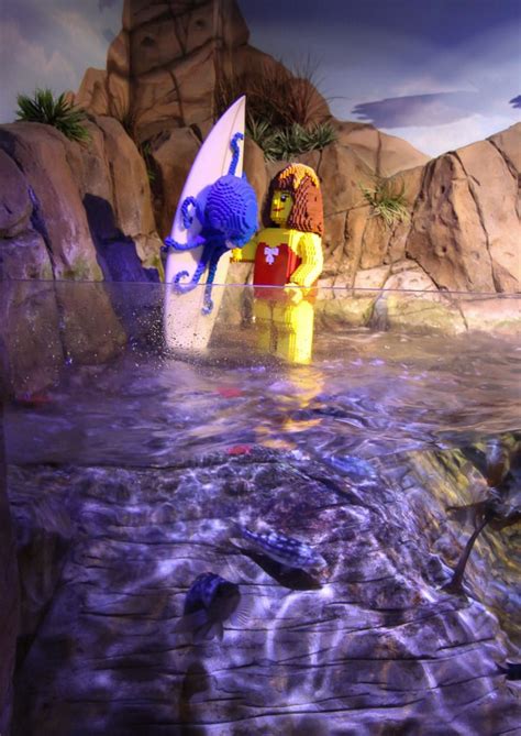 Take The Quiz Trail Through Sea Life Aquarium Legoland