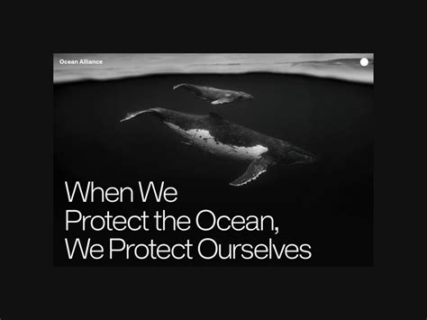 Ocean Alliance Homepage Motion By Mark Lundberg On Dribbble